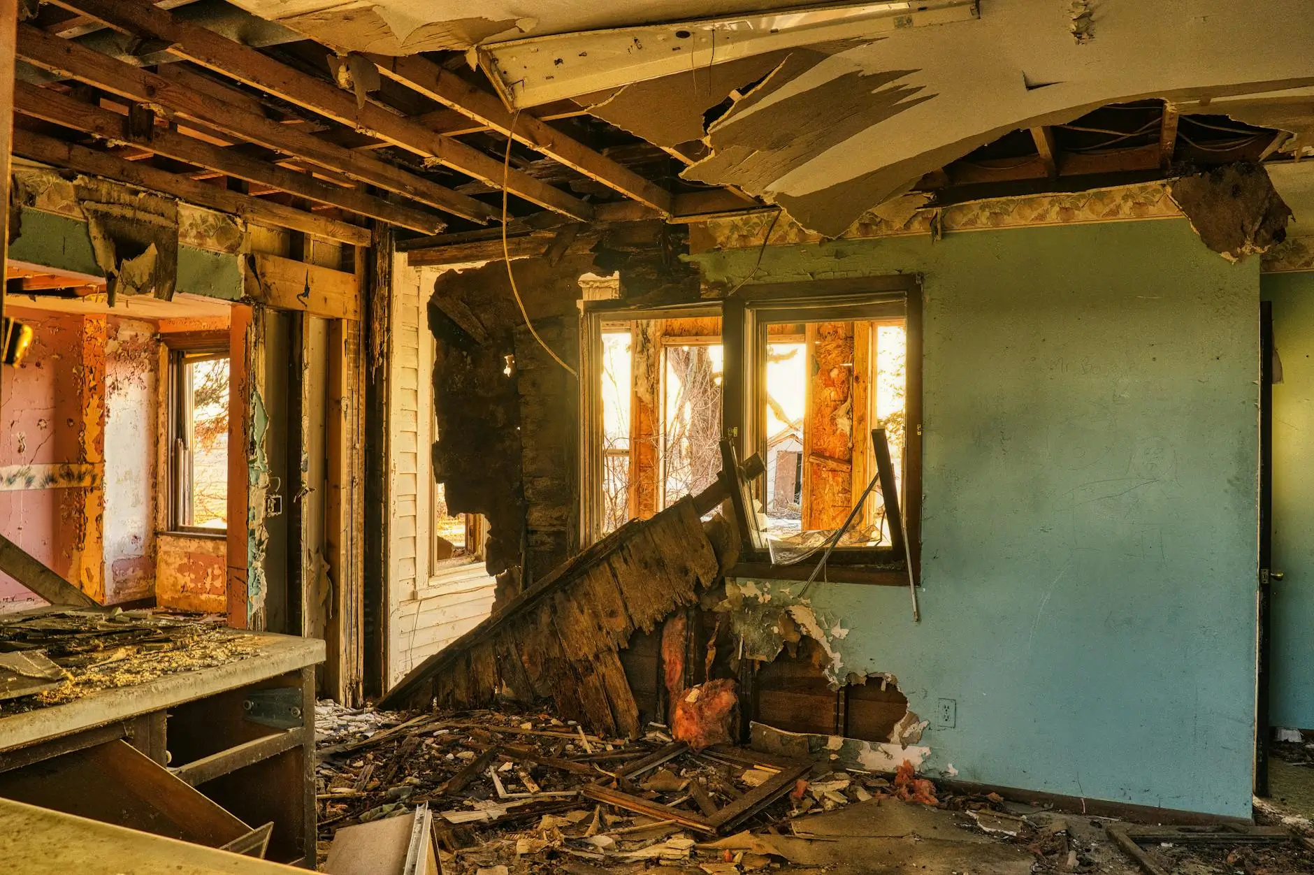 Cache Valley's Trusted Mold Abatement & Environmental Specialists — Logan, UT